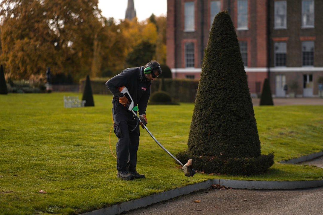 Best pressure washers UK 2026